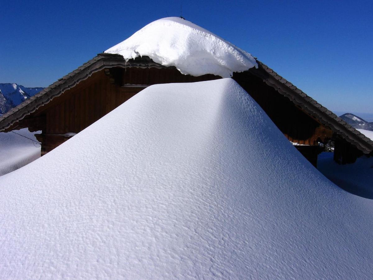 Chalet 49 Nesselgraben - Ferienwohnungen Aus Holz Koppl Buitenkant foto