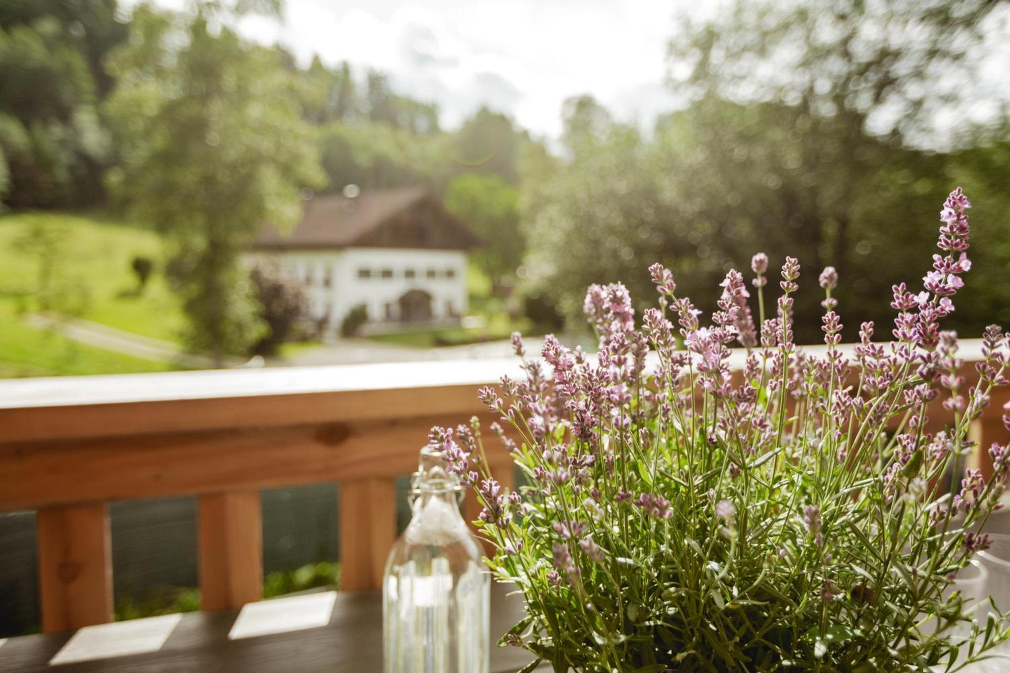 Chalet 49 Nesselgraben - Ferienwohnungen Aus Holz Koppl Buitenkant foto