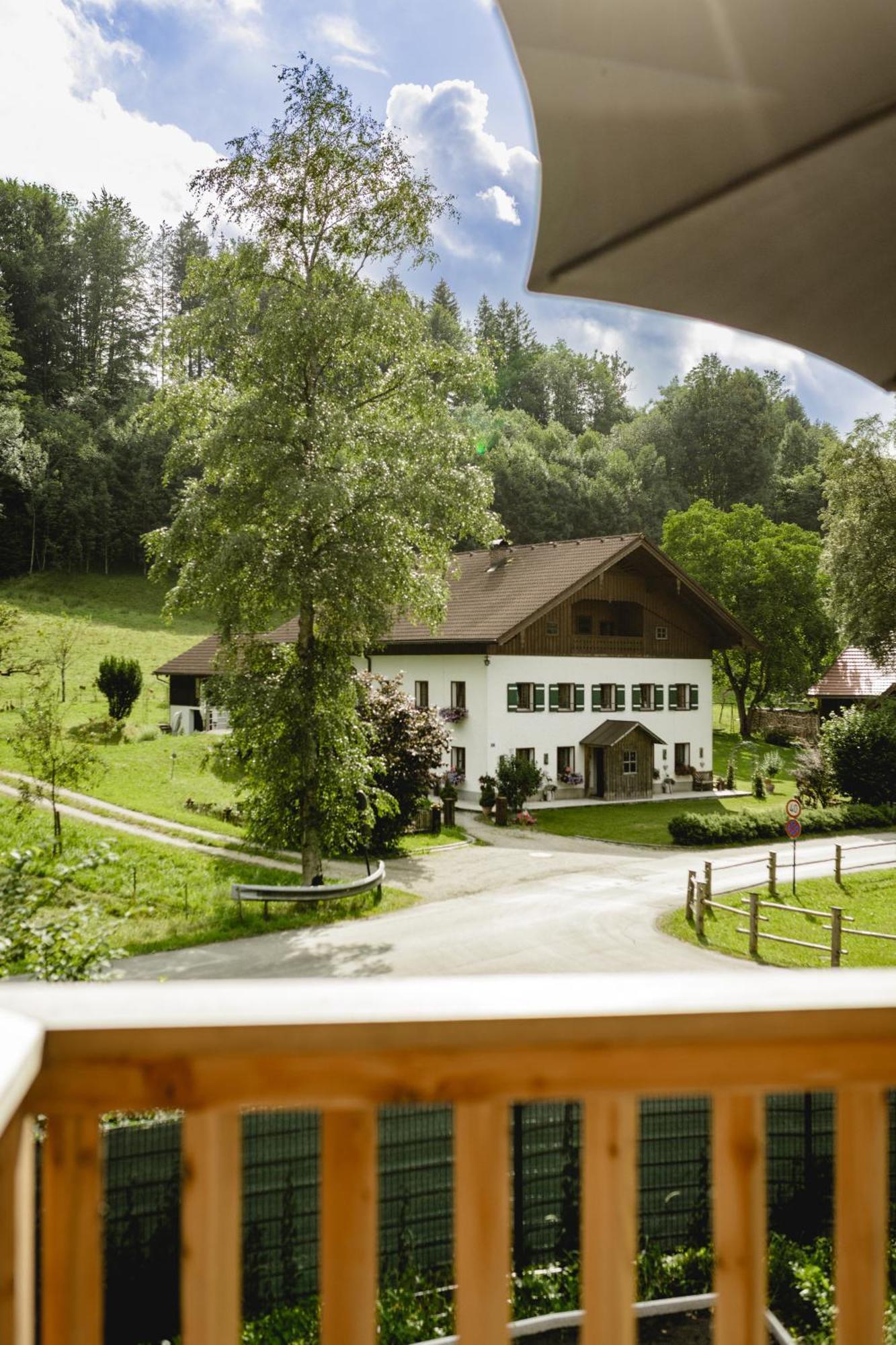 Chalet 49 Nesselgraben - Ferienwohnungen Aus Holz Koppl Buitenkant foto